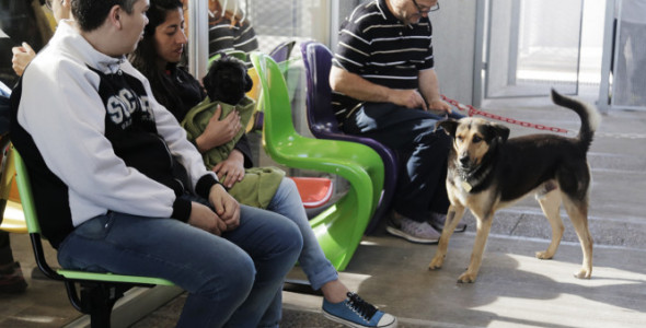 Nuevas obras en el espacio de Zoonosis