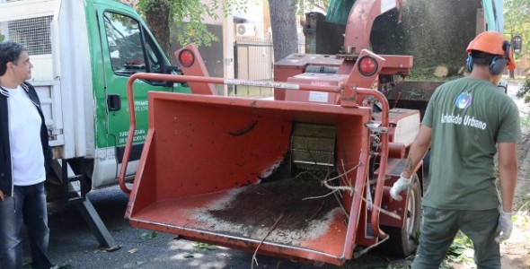 El Plan de Poda 2019 continúa desarrollándose a través de la solicitud web