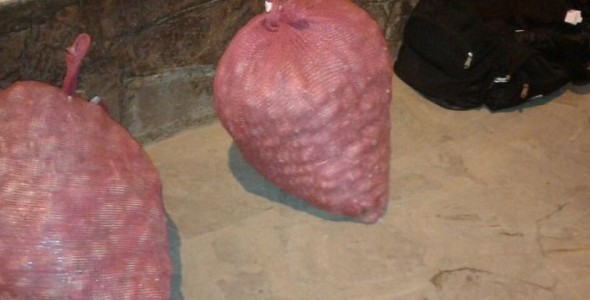 INCAUTARON 30 KILOS DE COCAÍNA OCULTOS EN BOLSAS DE AJO 