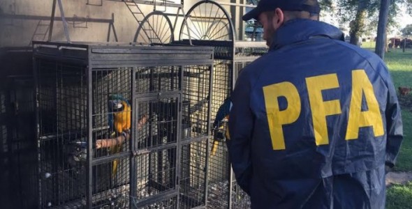 Rescataron más de 3.400 animales que eran comercializados ilegalmente