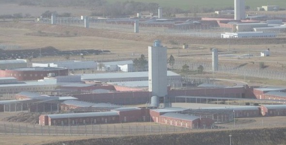 Secuestran en Córdoba vinos, celulares y un juguete sexual, en un penal 