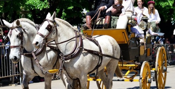 Salvador asistió al tradicional desfile criollo de la Fiesta Provincial del Caballo en Bragado