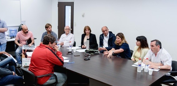 Presentaron proyecto de ley para incorporar el aceite de cannabis al sistema de salud provincial