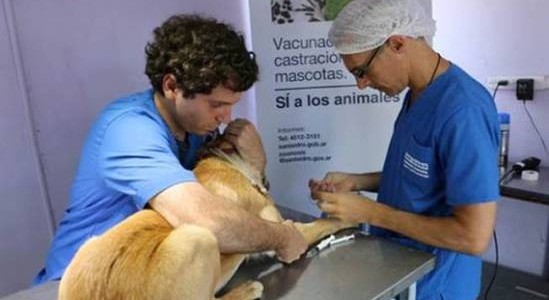 SAN ISIDRO LLEGÓ A LAS 10 MIL CASTRACIONES EN 2016