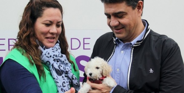 Jornada de castración en Plaza Alem