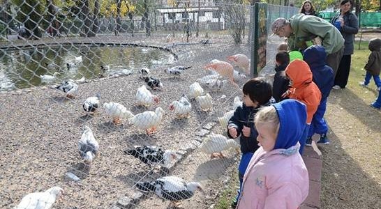 LOS CHICOS APRENDEN SOBRE ANIMALES EN LA CHACRA SAN ISIDRO LABRADOR