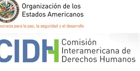 Denuncian ante la OEA que la derogación parcial de la ley de medios restringe la libertad de expres