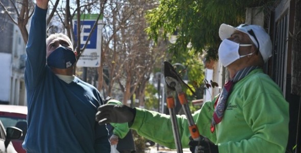 San Fernando realiza un cuidado especial de los crespones de la ciudad