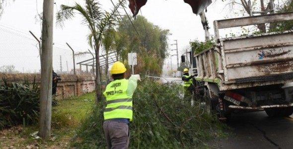 San Fernando continúa con los trabajos de despeje de luminarias durante la cuarentena por coronavir
