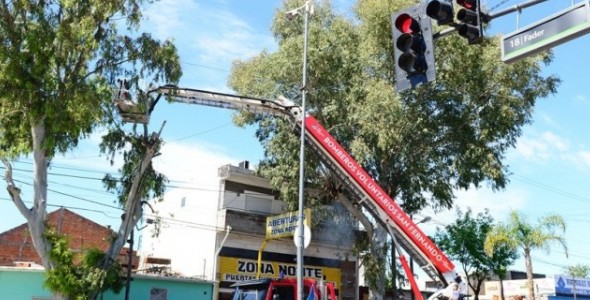 Avanzan los trabajos de forestación y parquización en la zona este de San Fernando