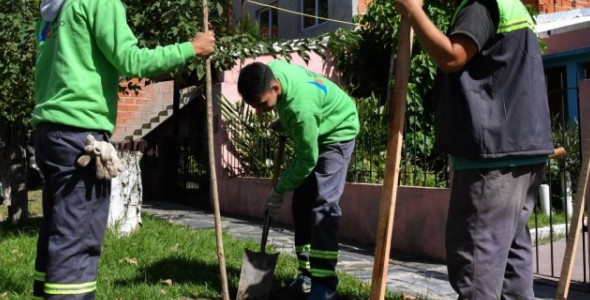 San Fernando profundiza su Plan de Forestación 2019