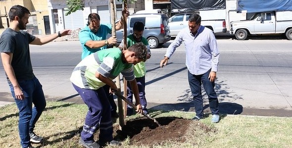 SAN ISIDRO: PLANTARÁN MÁS DE 60 ÁRBOLES EN SARRATEA