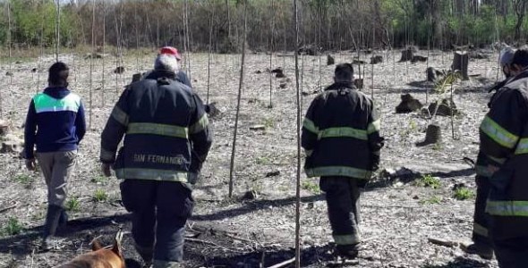 El Municipio y Bomberos extinguieron un incendio en el Delta de San Fernando