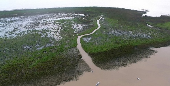LAS NUEVAS ISLAS DE SAN ISIDRO FUERON DECLARADAS RESERVA NATURAL
