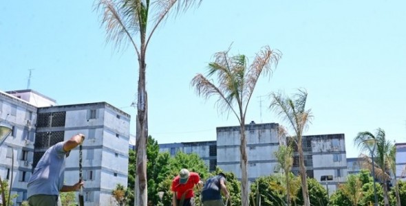 San Fernando realiza trabajos de mejora en el barrio Infico
