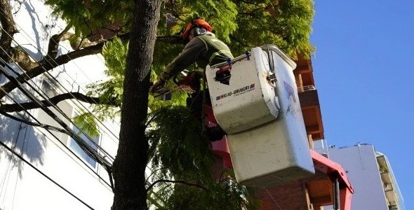 Vicente López: continúa abierta la inscripción al Plan de Poda 2026