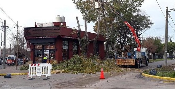 El Plan de Poda 2018 continúa en General Pacheco