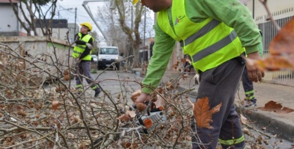 Se profundiza el Plan de Poda 2019 en San Fernando