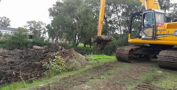 El Municipio de Tigre inició operativos de limpieza en el Río Reconquista