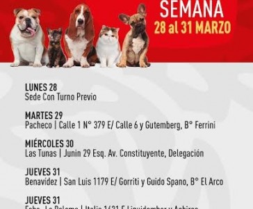 ZOONOSIS RECORRE TODO TIGRE