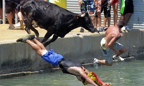 Una localidad de Madrid votó en contra de subvencionar corridas de toros