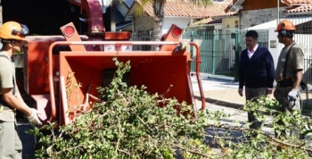 La Municipalidad de Vicente López inició el nuevo Plan de Poda para el 2017