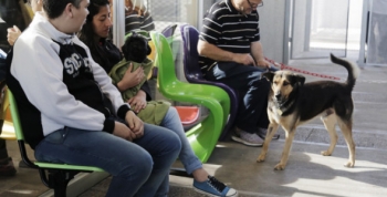 Nuevas obras en el espacio de Zoonosis