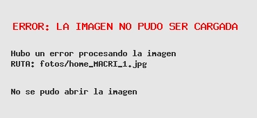 Jorge Macri recorrió actividades en el Paseo de la Costa