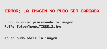 Con fondos propios, continúa la renovación de espacios públicos en Tigre centro