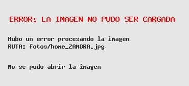 Julio Zamora supervisó las tareas de restauración de veredas en General Pacheco