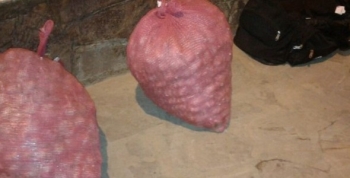 INCAUTARON 30 KILOS DE COCAÍNA OCULTOS EN BOLSAS DE AJO 