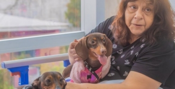 Juan Andreotti presentó un programa de visitas terapéuticas con animales en el Hospital