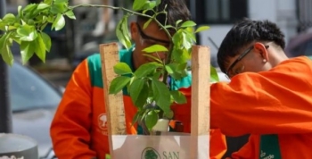 El Plan Integral de Arbolado ya sumó 1500 nuevos árboles y se hicieron 3000 podas