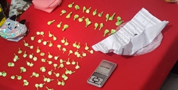 Operación Ceviche: desarticularon una red internacional de narcotráfico