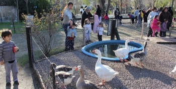 LA CHACRA SAN ISIDRO LABRADOR VUELVE A SU HORARIO HABITUAL