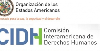 Denuncian ante la OEA que la derogación parcial de la ley de medios restringe la libertad de expres