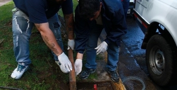 SAN ISIDRO INTENSIFICA OPERATIVOS DE DESRATIZACIÓN PARA PREVENIR EL HANTAVIRUS