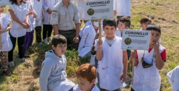 Por el Día de la Tierra, 'Eco Sanfer' plantó árboles nativos junto a una Escuela de Islas