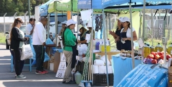 SAN ISIDRO: CRONOGRAMA DE “EL MERCADO EN TU BARRIO”