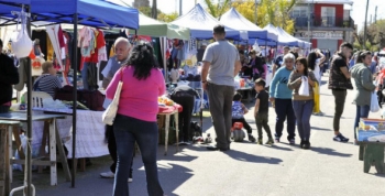 Tigre fortalece a productores locales con su Registro de Trabajadores de la Economía Popular