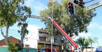 Avanzan los trabajos de forestación y parquización en la zona este de San Fernando