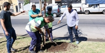 SAN ISIDRO: PLANTARÁN MÁS DE 60 ÁRBOLES EN SARRATEA
