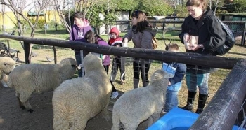 LOS CHICOS SE DIVIERTEN EN LA CHACRA SAN ISIDRO LABRADOR