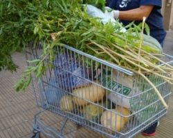 SAN ISIDRO: LOS HUERTEROS SIGUEN DONANDO SU PRODUCCIÓN