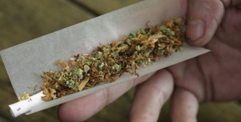 Descubren vivero de marihuana en casa de Carmen de Areco