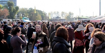Gran jornada del BA Market en el puerto de Olivos