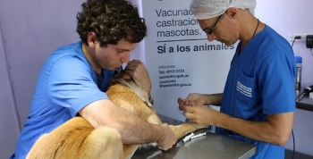 SAN ISIDRO: CASTRACIÓN Y VACUNACIÓN GRATUITA DE MASCOTAS DURANTE MAYO