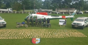 Operativo Motos verdes: secuestraron media tonelada de marihuana en Salta