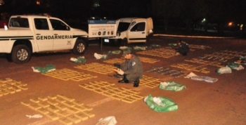 Fronteras seguras: incautaron más de 600 kilos de marihuana en Misiones