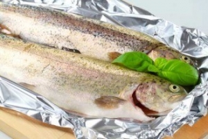 El Senasa detectó infracciones en casi el 10% de transportes de pescado